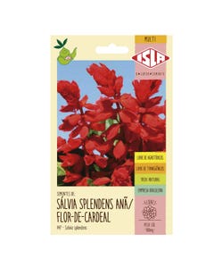 Semente de Sálvia Splendens Anã/Flor de Cardeal Isla 0,1G