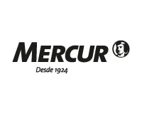 Mercur