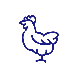 Aves