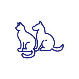 Cães e gatos